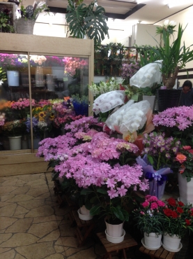 「ＦＬＯＲＩＳＴ　一花」　（愛知県知多郡東浦町）の花屋店舗写真3